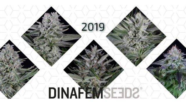 Nuevas Variedades Dinafem 2019